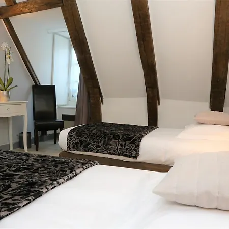 Logis L'ecu De France Hotel 3*