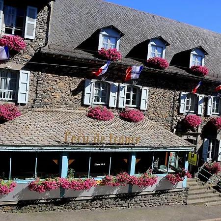 Logis L'ecu De France Hotel Mauriac (Cantal)